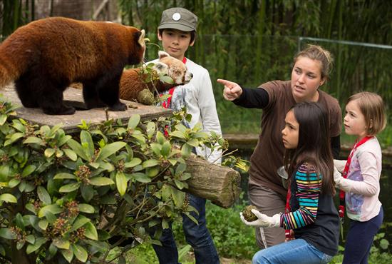 Visites au Parc animalier de Branféré - Camping le kerfalher