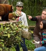 Visites au Parc animalier de Branféré - Camping le kerfalher