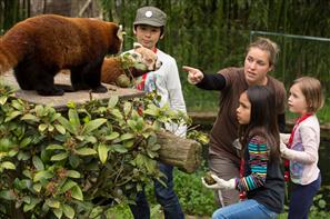 Visites au Parc animalier de Branféré - Camping le kerfalher