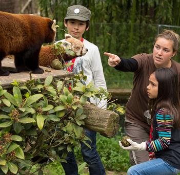 Visites au Parc animalier de Branféré - Camping le kerfalher