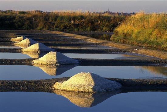 Marais salants de Guérande - Camping le kerfalher