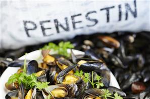 Moules de bouchot à Pénestin - Camping le kerfalher