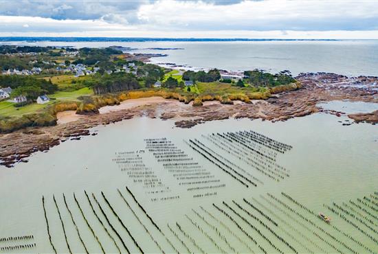 Mytiliculture en Morbihan - Camping le kerfalher